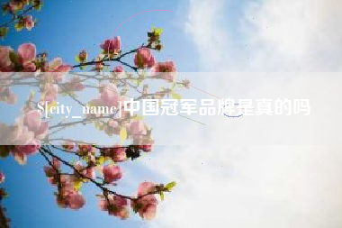 淄博中国冠军品牌是真的吗
