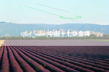 淄博中国十七块金牌