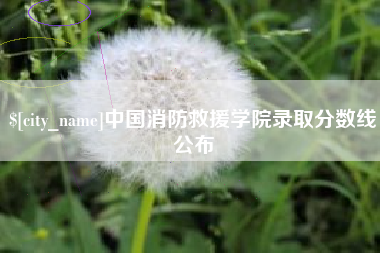 淄博中国消防救援学院录取分数线公布