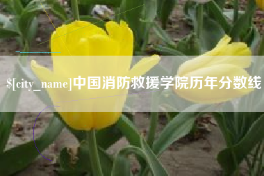 淄博中国消防救援学院历年分数线