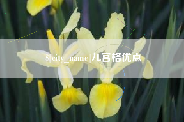 淄博九宫格优点
