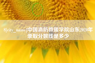 淄博中国消防救援学院山东2020年录取分数线是多少