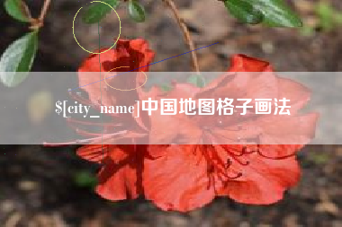 淄博中国地图格子画法
