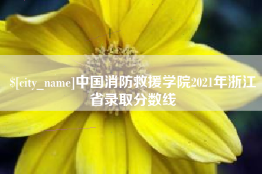 淄博中国消防救援学院2021年浙江省录取分数线