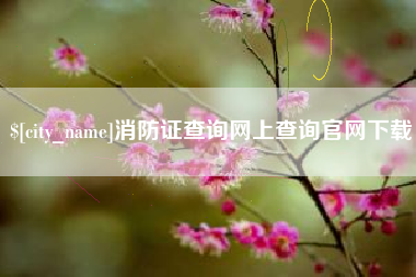 淄博消防证查询网上查询官网下载