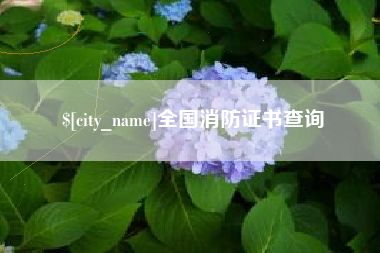 淄博全国消防证书查询
