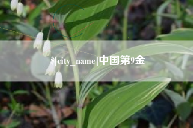 淄博中国第9金