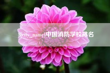 淄博中国消防学校排名