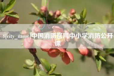 淄博中国消防官网中小学消防公开课
