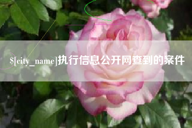 淄博执行信息公开网查到的案件