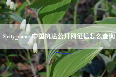 淄博中国执法公开网征信怎么查询