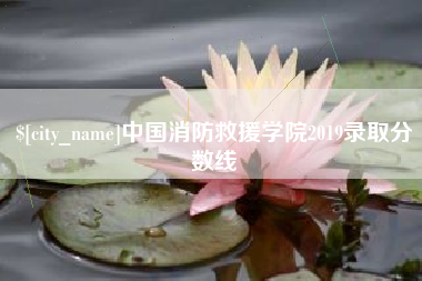 淄博中国消防救援学院2019录取分数线