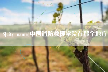 淄博中国消防救援学院在那个地方