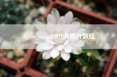 淄博2021消防分数线