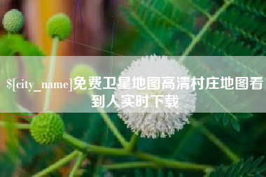 淄博免费卫星地图高清村庄地图看到人实时下载