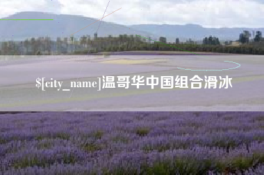 淄博温哥华中国组合滑冰