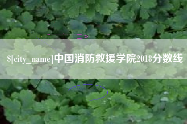 淄博中国消防救援学院2018分数线