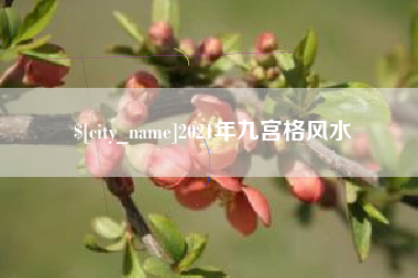 淄博2021年九宫格风水