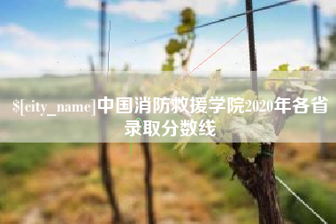 淄博中国消防救援学院2020年各省录取分数线