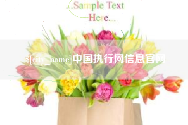 淄博中国执行网信息官网