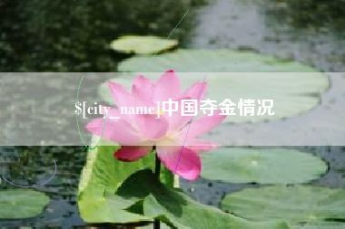 淄博中国夺金情况