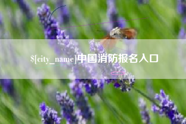 淄博中国消防报名入口