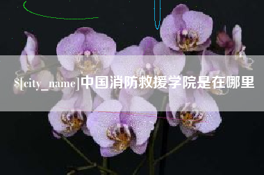 淄博中国消防救援学院是在哪里