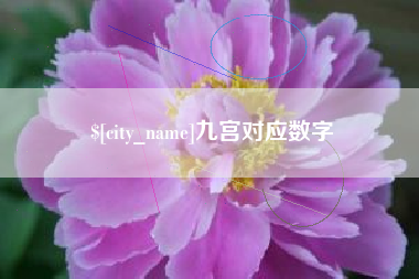 淄博九宫对应数字
