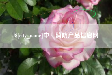 淄博中囯消防产品信息网