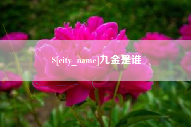 淄博九金是谁