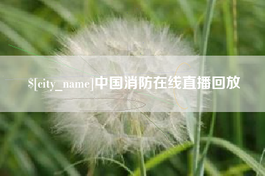 淄博中国消防在线直播回放