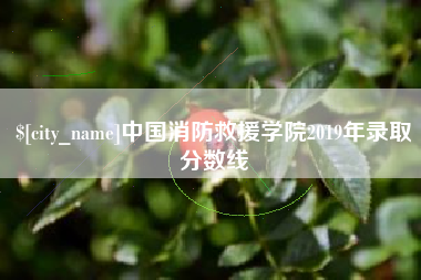 淄博中国消防救援学院2019年录取分数线