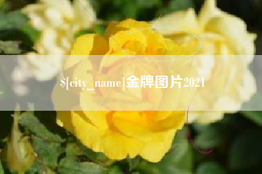淄博金牌图片2021