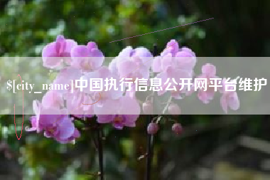 淄博中国执行信息公开网平台维护