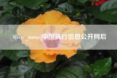 淄博中国执行信息公开网后