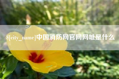 淄博中国消防网官网网址是什么