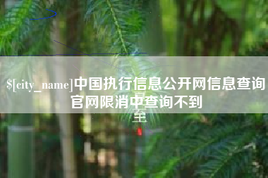 淄博中国执行信息公开网信息查询官网限消中查询不到