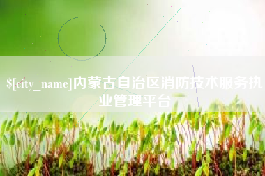 淄博内蒙古自治区消防技术服务执业管理平台
