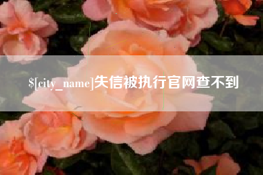 淄博失信被执行官网查不到