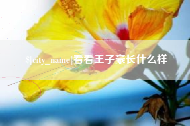 淄博看看王子豪长什么样