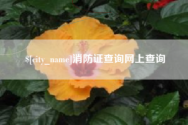淄博消防证查询网上查询