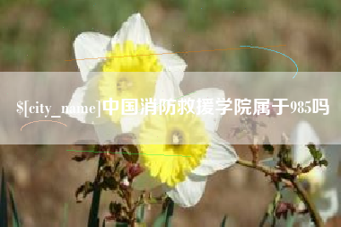 淄博中国消防救援学院属于985吗