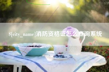 淄博消防资格证怎么查询系统