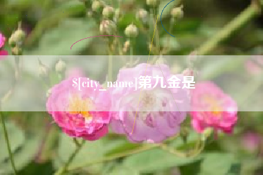 淄博第九金是