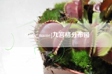 淄博九宫格分布图