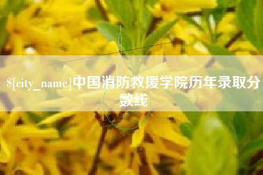 淄博中国消防救援学院历年录取分数线