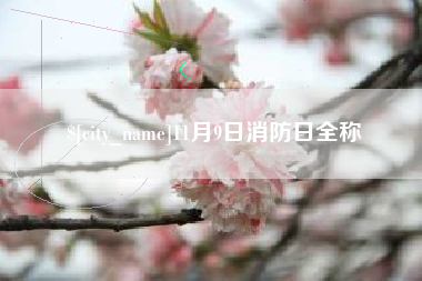 淄博11月9日消防日全称