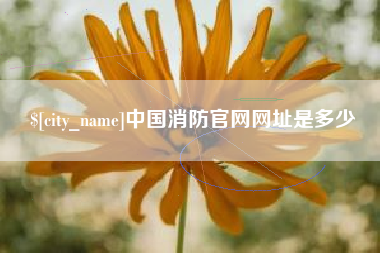 淄博中国消防官网网址是多少