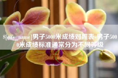 淄博男子5000米成绩对照表-男子5000米成绩标准通常分为不同等级