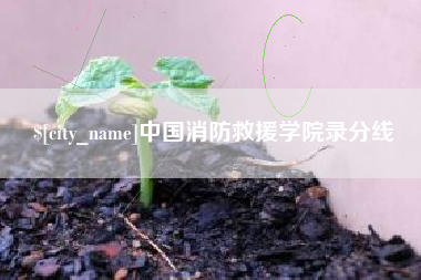 淄博中国消防救援学院录分线